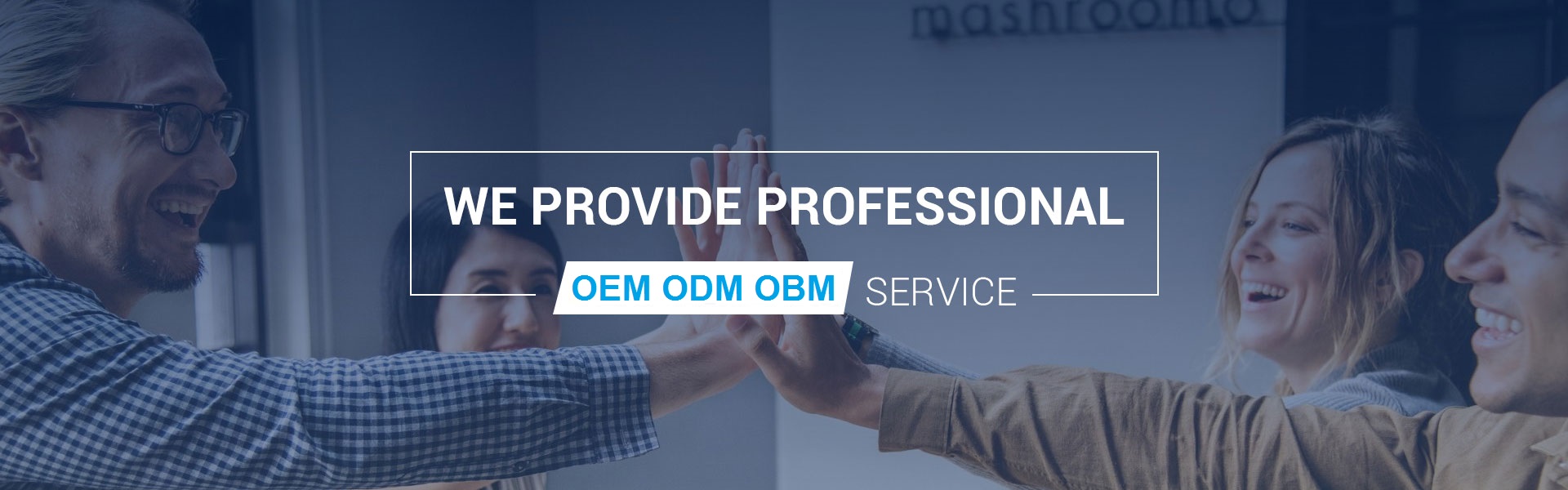 OEM ODM OBMM Service